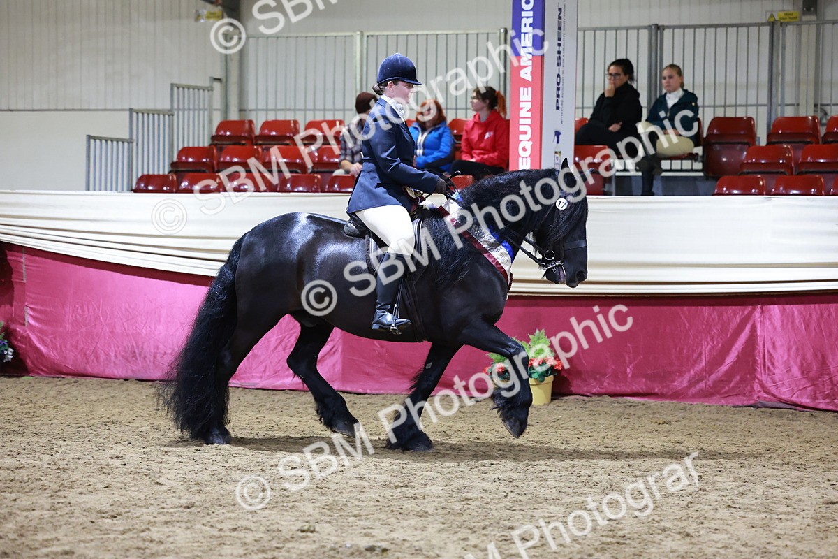 SBM_20919 - Class M - Equitation Champ