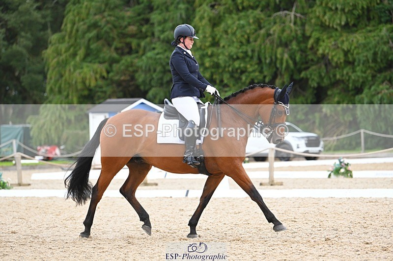 230813-132045-07540 - Cls 13 Medium Bronze 13.15 to End