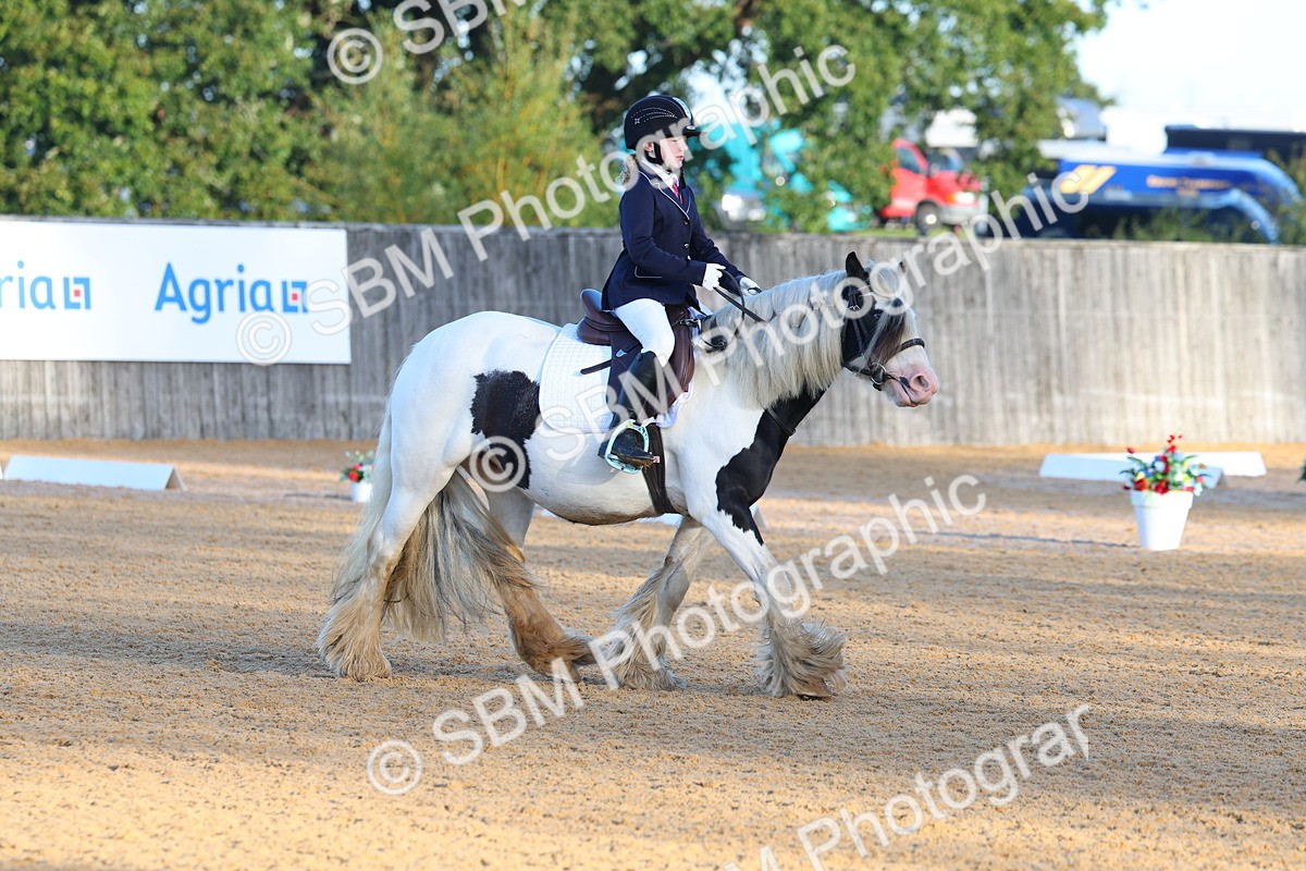 SBM_33431 - D26 - Test Starter Test 1