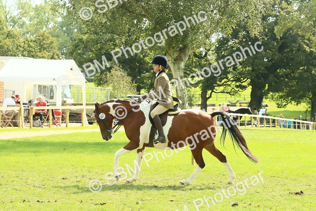 SBM_67503 - S56 - Coloured Pony Ridden