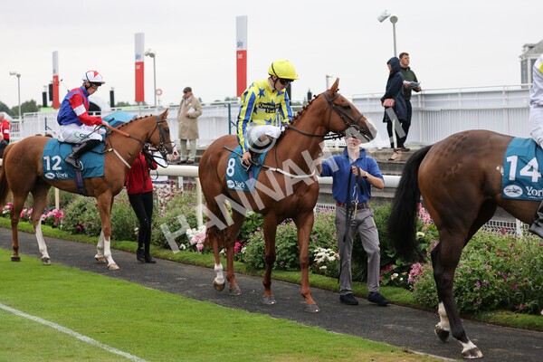 yr22072022r3-27 - Race 3 6.20pm Tomahawk Stakes