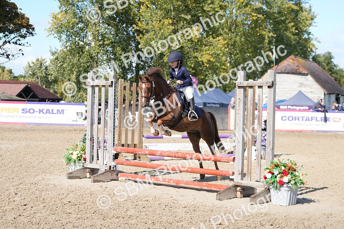 SBM_44401 - J7 - Junior Pony 60cm Championship