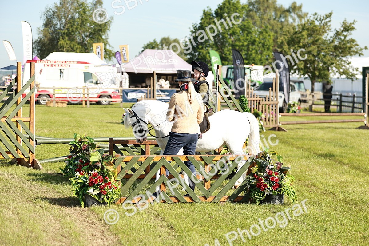 SBM_11235 - Class 106-107 - BSPS LIHS Working Sports Pony