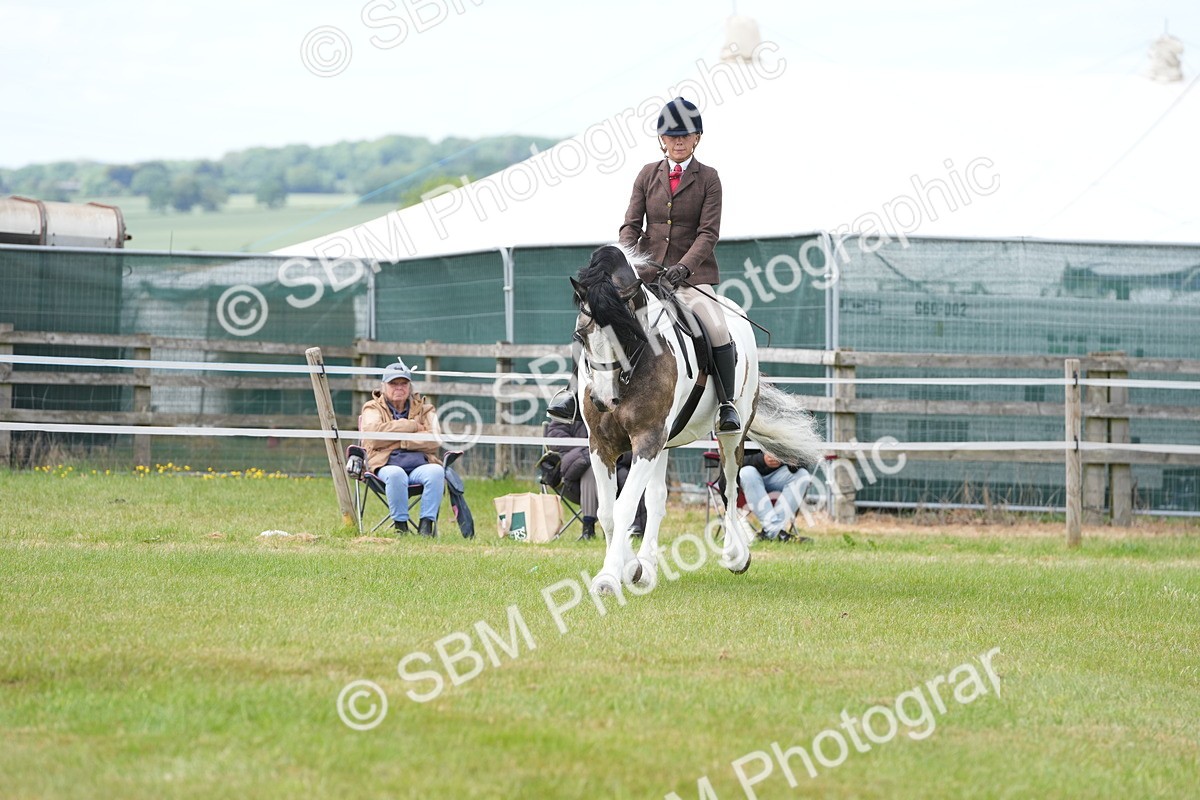 SBM_17228 - Class 107-108 - LIHS BSPS Performance Coloured Horse Pony