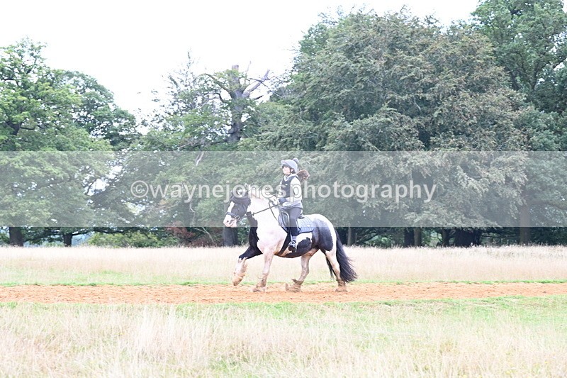 DSC_9662 - Time at Statue 15:11 to 15:58