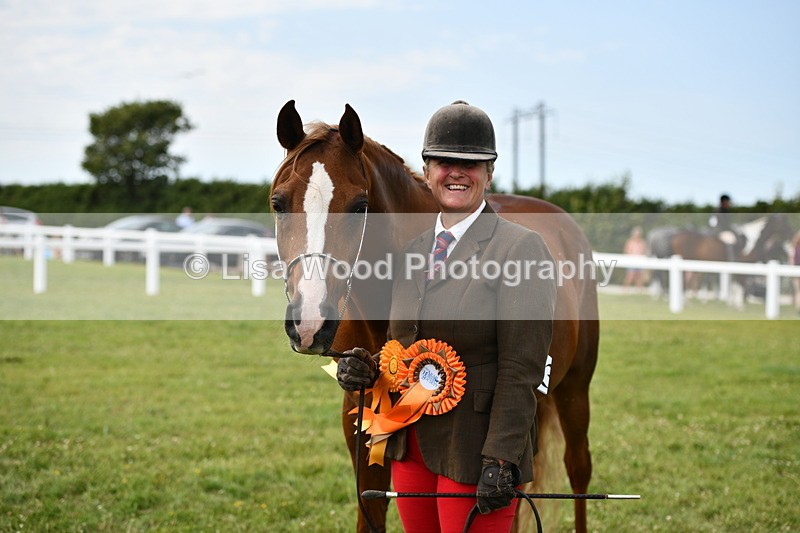 DSC_8556 - Class 69: Pure, Anglo & Part Bred In Hand Arab