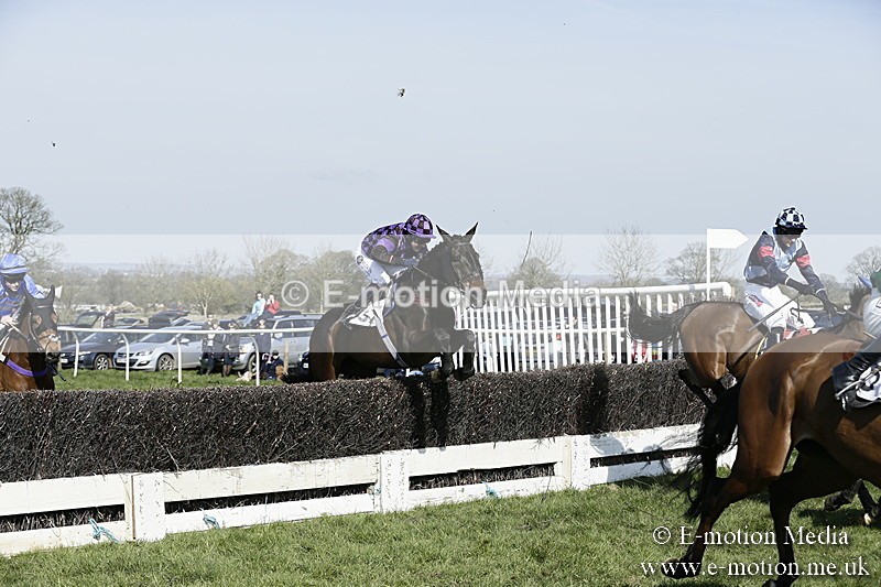 PtP 260317 216 - Mendip Farmers Point-to-Point Ston Easton 26/03/17