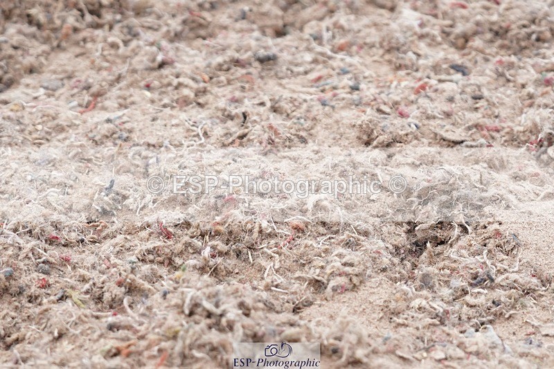 250622-155456-16500 - Cls 61 FEI Inter I Inc Presentations