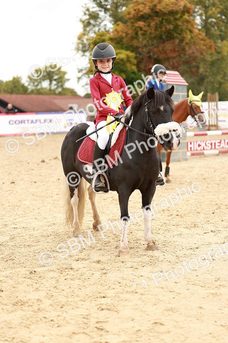 SBM_58100 - J11 - Junior Pony 50cm Championship