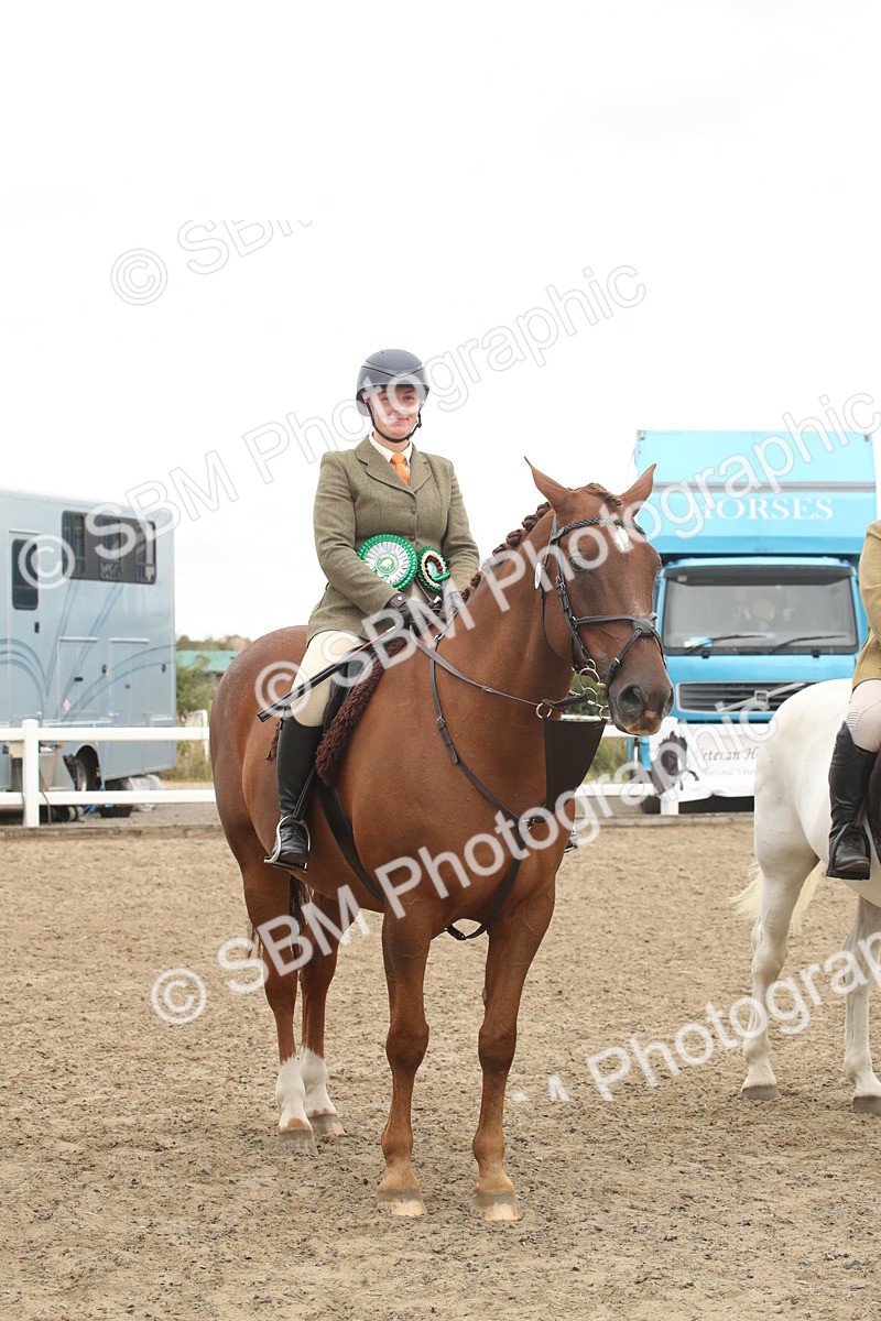 SBM_18321 - Class 509a - Working Veteran - 80cm (15-19)