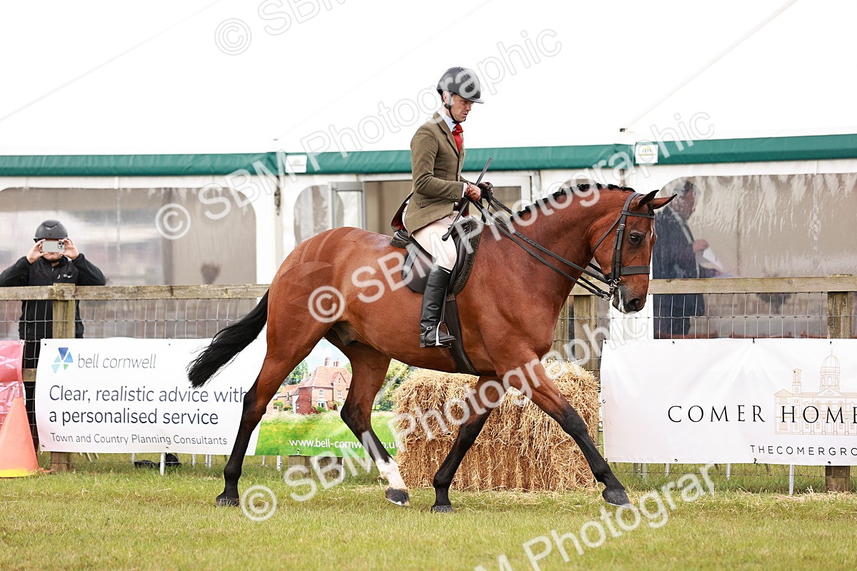 SBM_11543 - Class 81-84 - RIHS Ridden hunters Inc Ladies Hunter