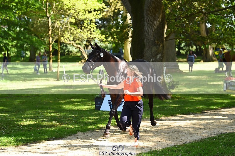 230524-151716-00181 - 317-FERNHILL_KANKAN-Jonelle_Price-WEDTrotUp+DR