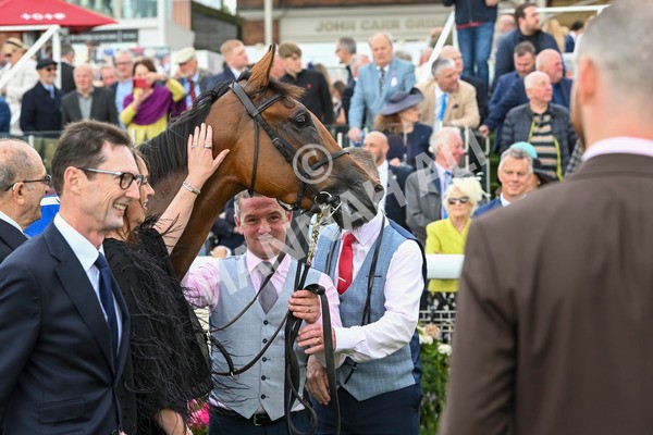 220824-Race 4-Content-7511 - Race 4 3.35pm Pertemps Network Yorkshire Oaks