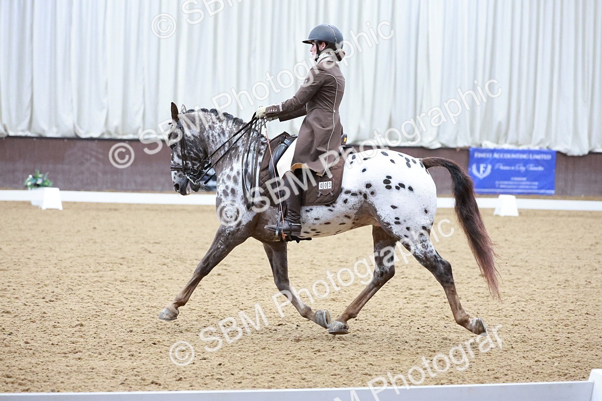 SBM_021401 - Class 14 - FEI Grand Prix - 17.40-18.34