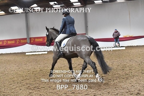 BPP_7880 - ELEM TEST 6