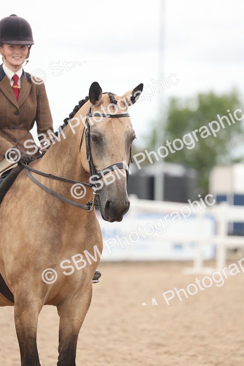 SBM_18183 - Class 315 - Best Horse-Rider Combination