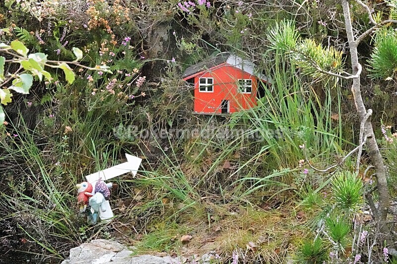 DSC07823 - SEPT 2020 STAYCATION