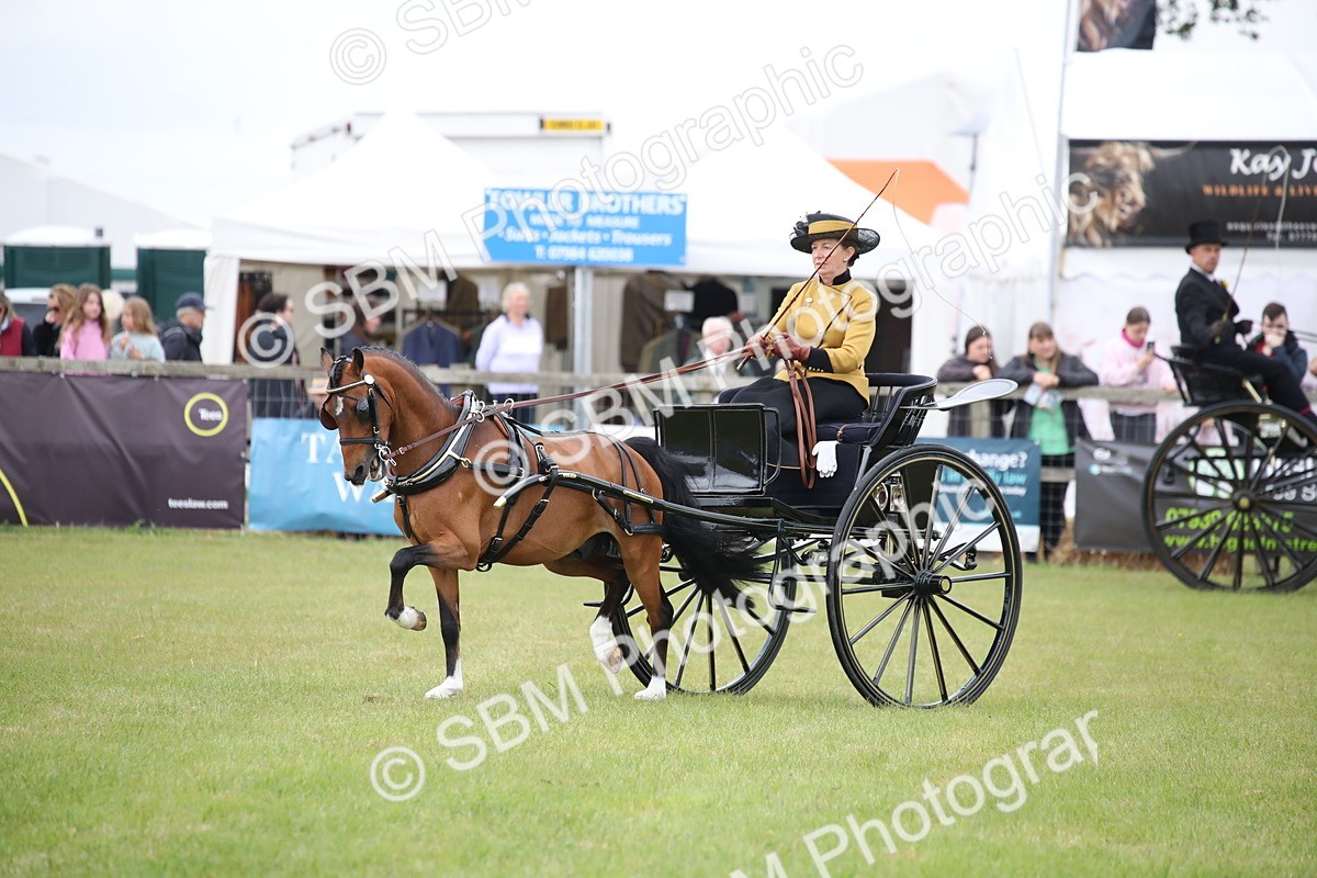 SBM_05838 - Class 12-15 - HOYS Private Driving