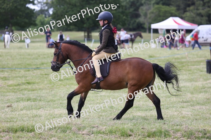 20260614-1830 - Class 21 - Novice Working Hunter Pony