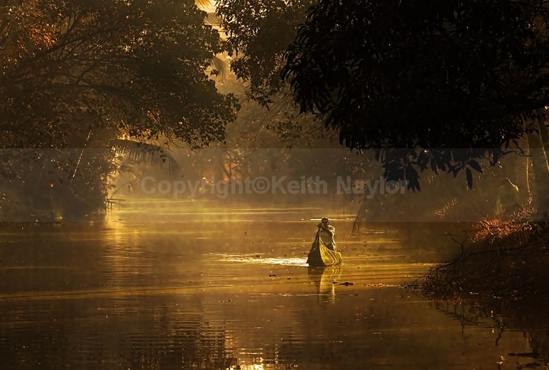 Backwaters - 2004
