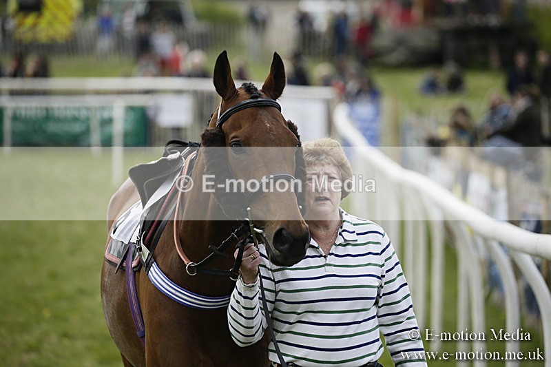 PtP 170417 219 - Old Berks Point-to-Point Lockinge 17/04/17