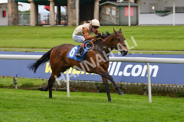 yr22052021r1-24 - Race 1 2.05pm William Hill Pick Your Places Stakes