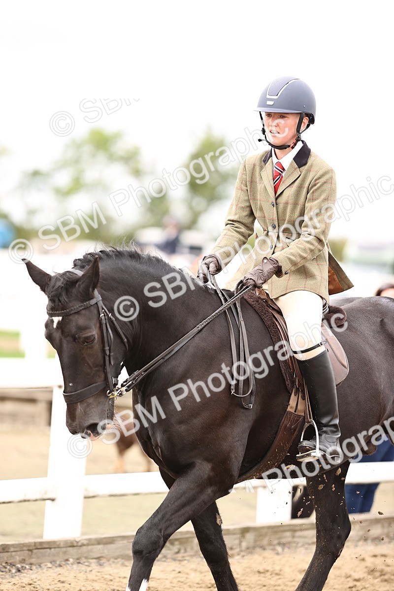 SBM_01394 - Class 54 - Riding Club Horse Pony