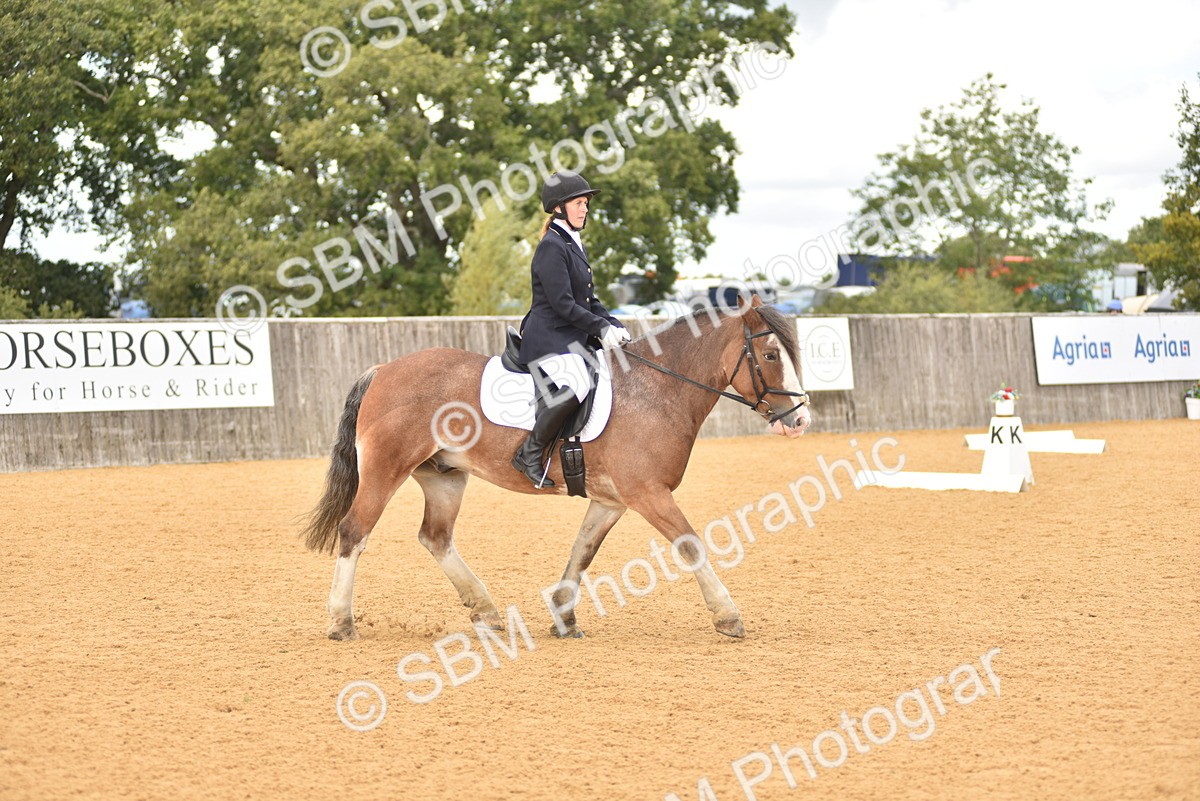 SBM_19879 - D4 - Small Tour Championship Intro 4