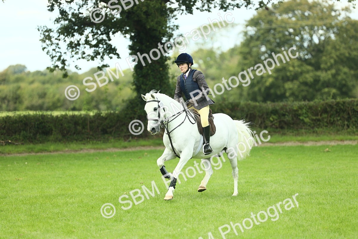 SBM_42805 - S30 - M&M Working hunter Pony