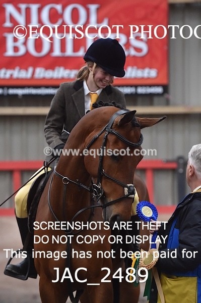 JAC_2489 - CLASS 3 Intermediate Working Hunter