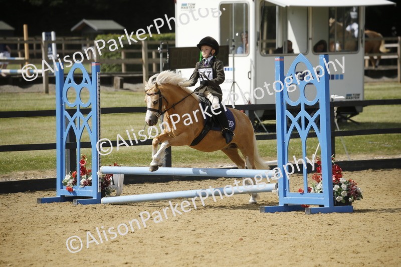 20250622-3793 - 50cm