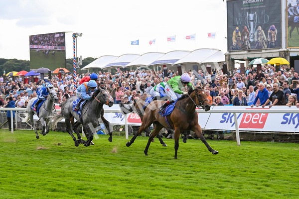 240824-Race 3-Breege-1436 - Race 3 3.00pm Sky Bet City Of York Stakes