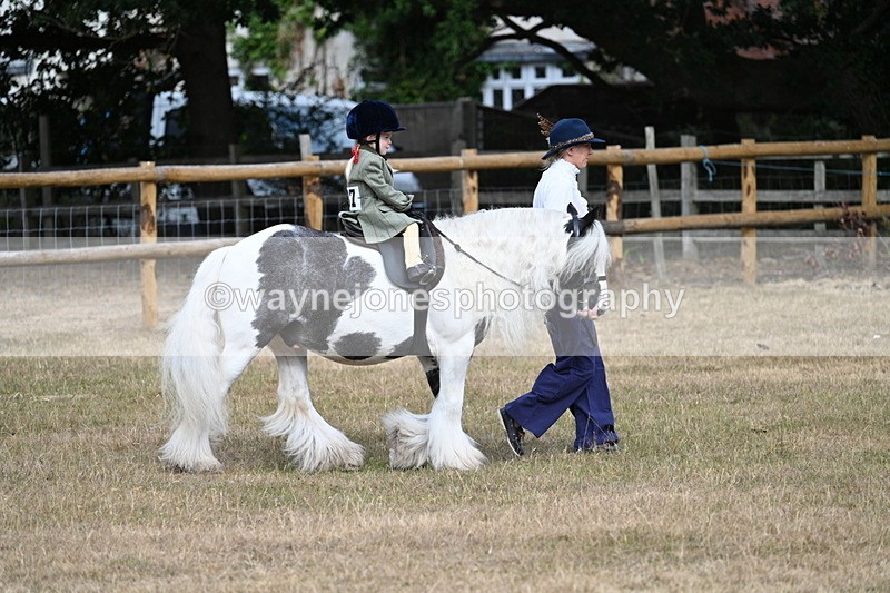 WJ7_6289 - Class 1 Lead Rein Pony