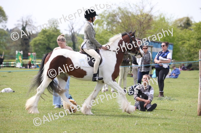 20260426-2927 - Class 33 - Best Pony 14.2hh and Under