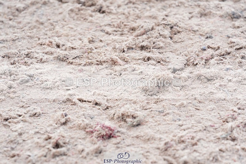 250425-115720-08691 - Cls 55 Veterans Major Tour