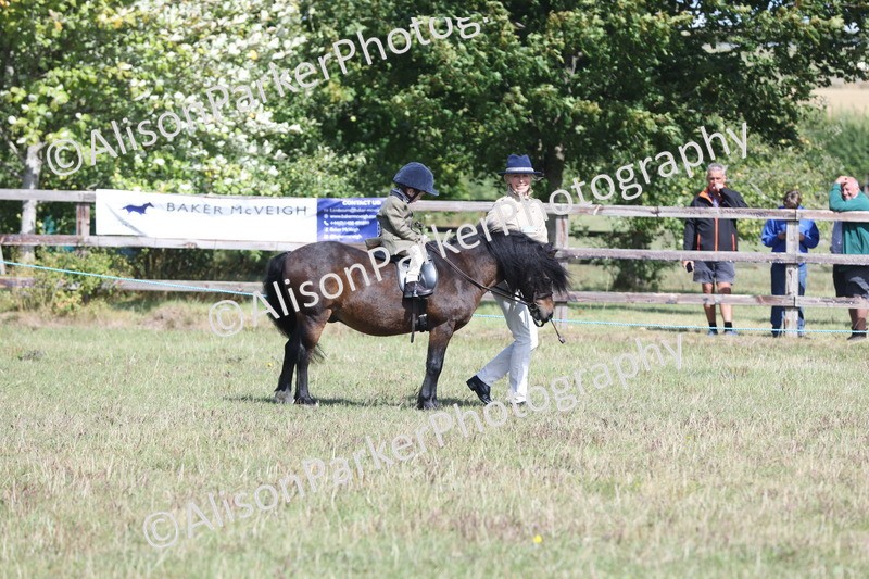 20250831-2608 - Class 17 - Lead Rein Pony
