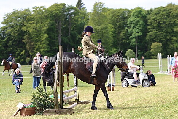 IMG_3135 - Working Hunter
