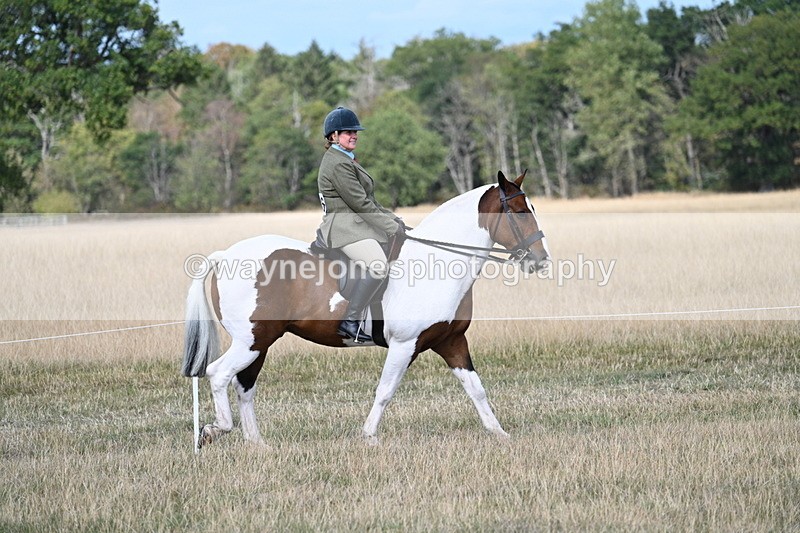 WJ7_6670 - Class 14 Ridden Coloured