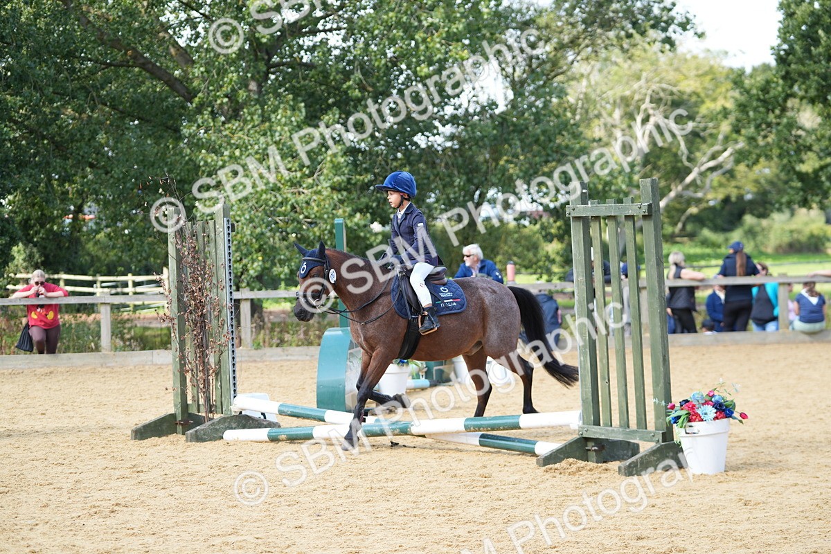 SBM_64615 - J2 - Mini Tour Junior Pony 30cm Championship