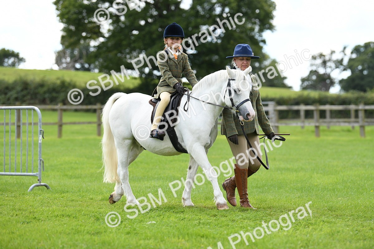 SBM_42422 - S20 - Lead Rein Mountain & Moorland Pony