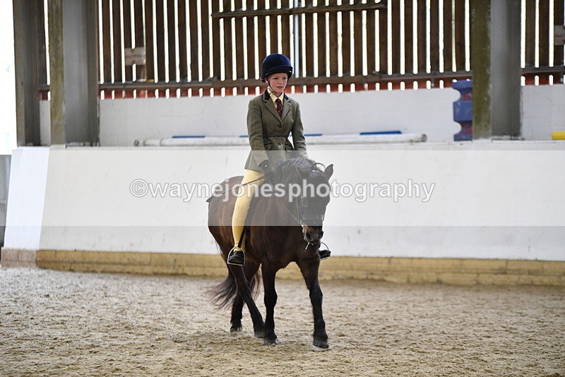 WJ5_6918 - Class 10 Childs Pony