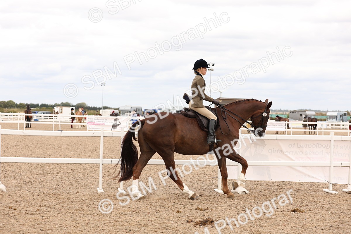 SBM_17217 - Class 213 - Ridden Hunter - Large