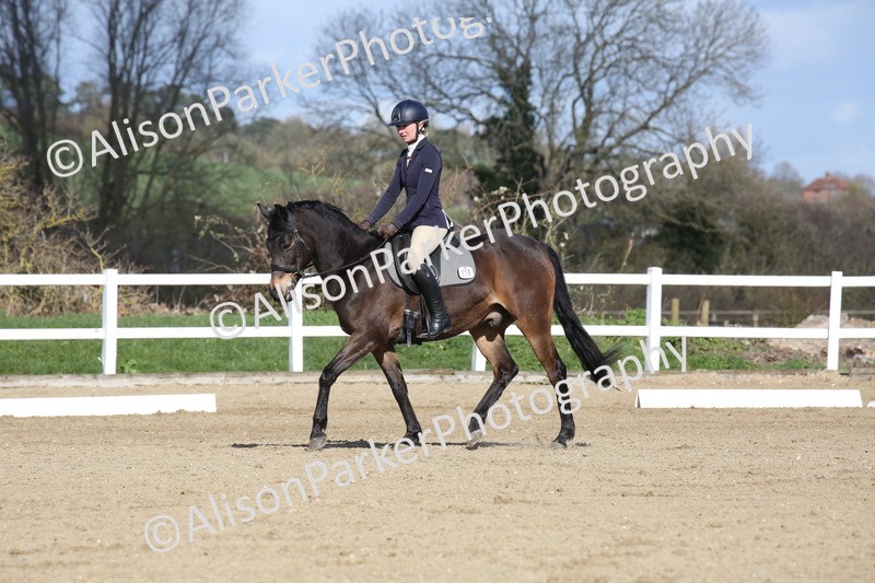 20260314-4229 - DR5 - Novice 1