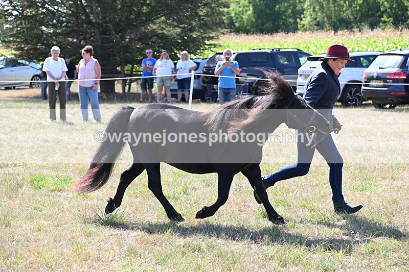 WJ6_4958 - Class 17 Mountain & Moorland