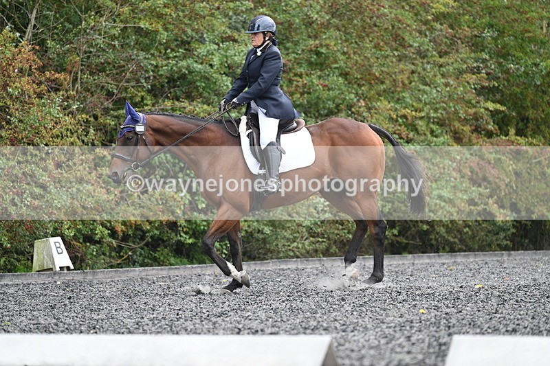 WJ7_6478 - Time 14:49 to 15:14