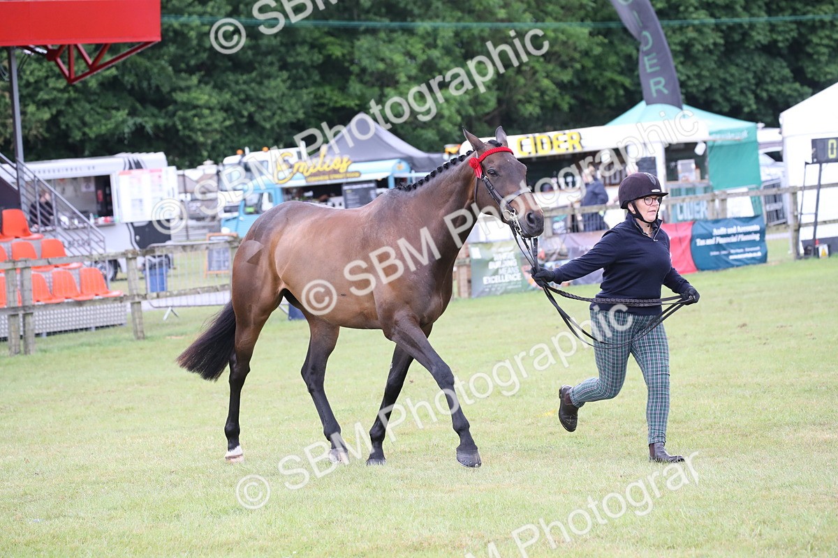 SBM_11451 - Class 94 - LIHS BSHA Racehorse to Showhorse