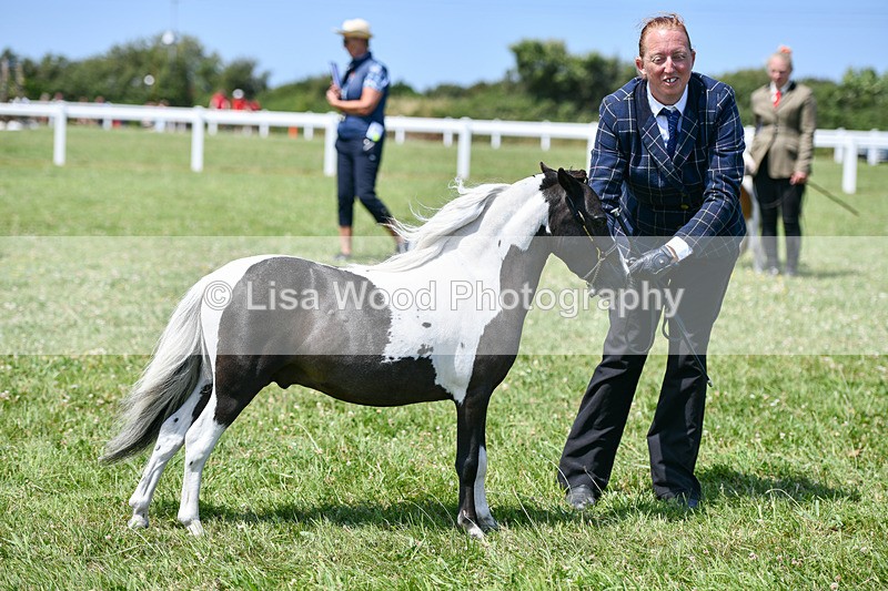 DSC_7361 - Class 62: Coloured Pony Youngstock