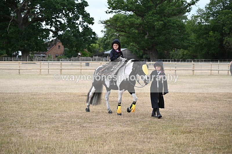 WJ6_8741 - Class 11 Fancy Dress