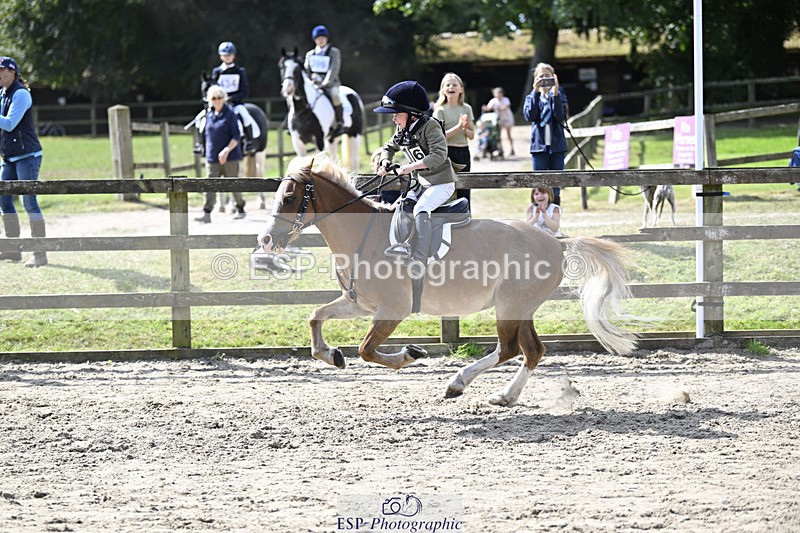 240823X-110744-15921 - 60cm R2 11.00 to 12.30