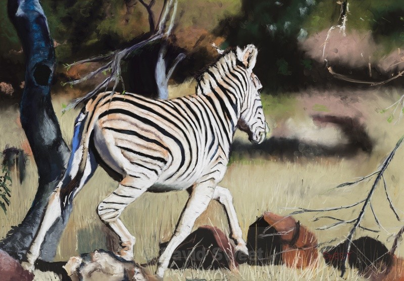 Zebra Crossing - Paintings
